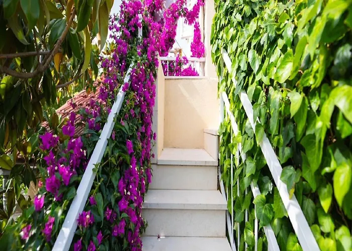 Apartments Roda